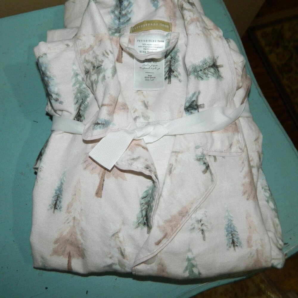 Pottery Barn Teen Winter Wonderland Flannel Pajama Set Sz L (W-2)